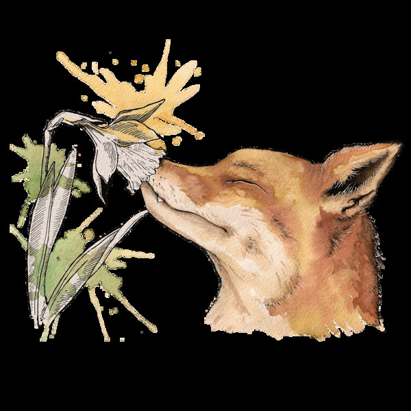 花卉与狐狸卡通透明素材