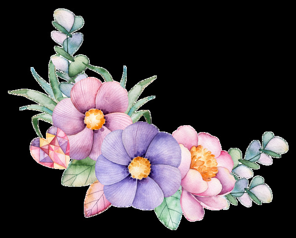 多彩花卉透明装饰图案
