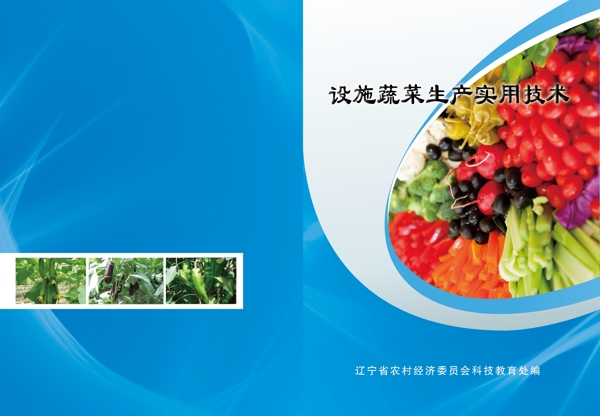 蔬菜生产实用技术封皮图片