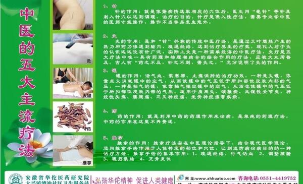 中医主流疗法图片