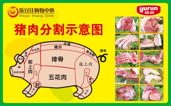 猪肉分割示意图PSD分层素材图片