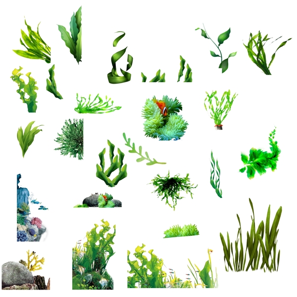 海藻素材