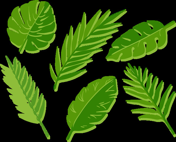绿色棕榈叶子免抠png透明图层素材