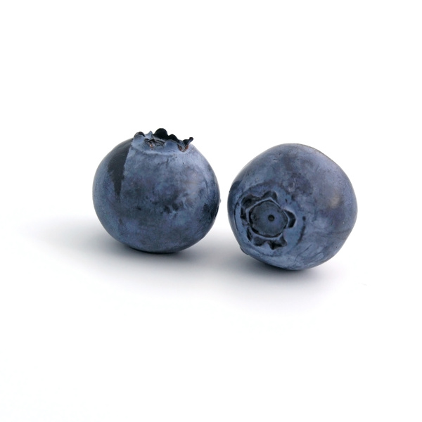 设计素材两颗蓝莓果实