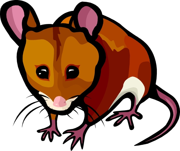 印花矢量图动物老鼠色彩棕色免费素材