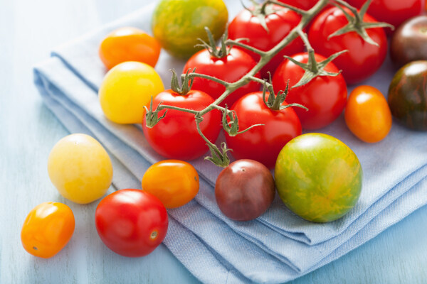 各种颜色的西红柿图片