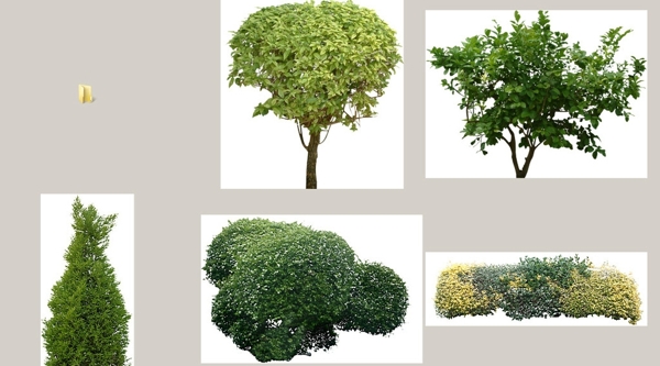 灌木矮树丛带通道TIFF图图片