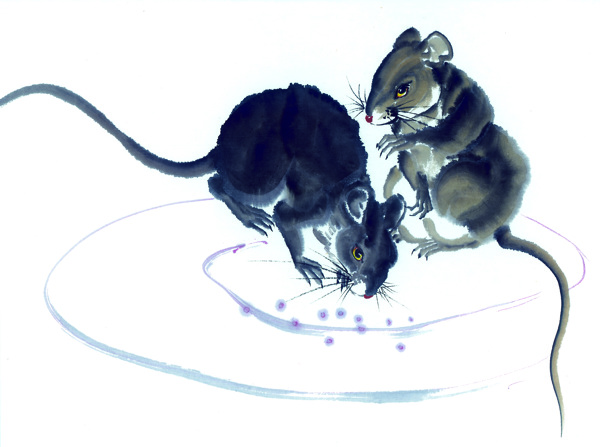 手绘十二生肖老鼠图片