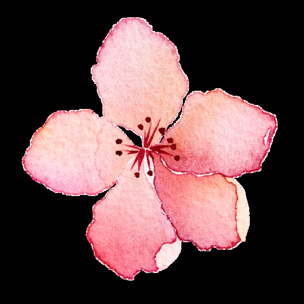 手绘粉色花瓣png元素素材