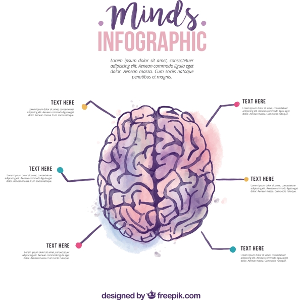 水彩画的人脑的信息图表
