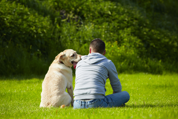 坐在草地上的狗与男人图片