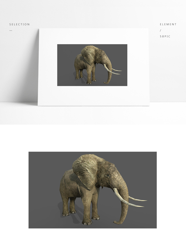 写实动物模型大象带贴图矢量图