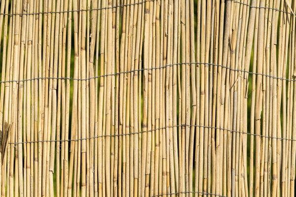 竹篱笆竹围栏