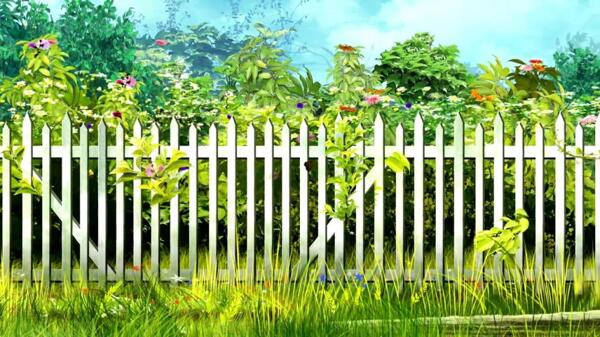 篱笆里植物生长清新视频素材
