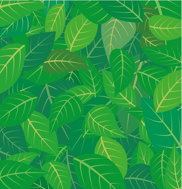 绿色树叶底纹