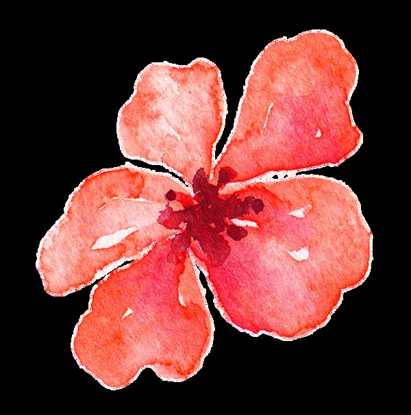 红色绽放花卉卡通透明装饰素材
