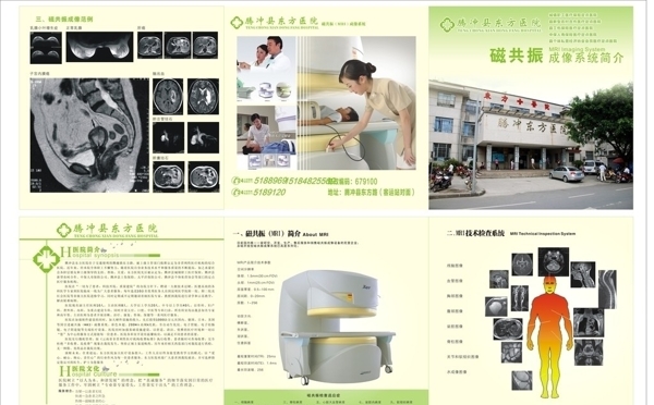 三折页磁共振图片