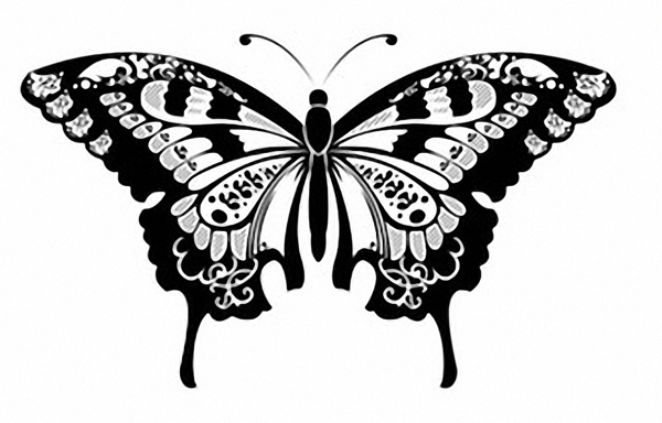 位图成熟优雅女装T恤图案动物蝴蝶免费素材