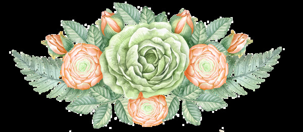 嫩绿植物花卉卡通透明素材