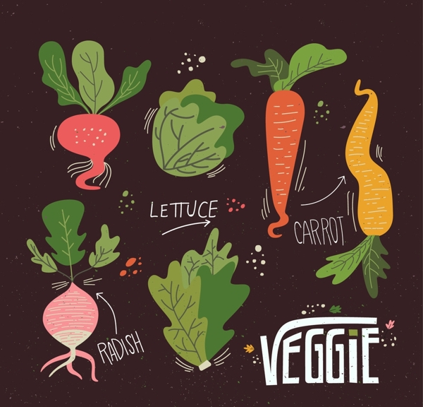 绿色蔬菜插图