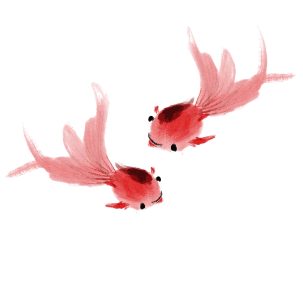 水墨红色的金鱼插画