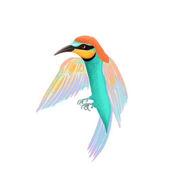 颗粒感风格鸟类插画PNG图片