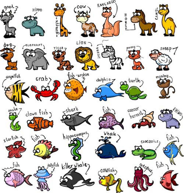卡通动物和名称图片