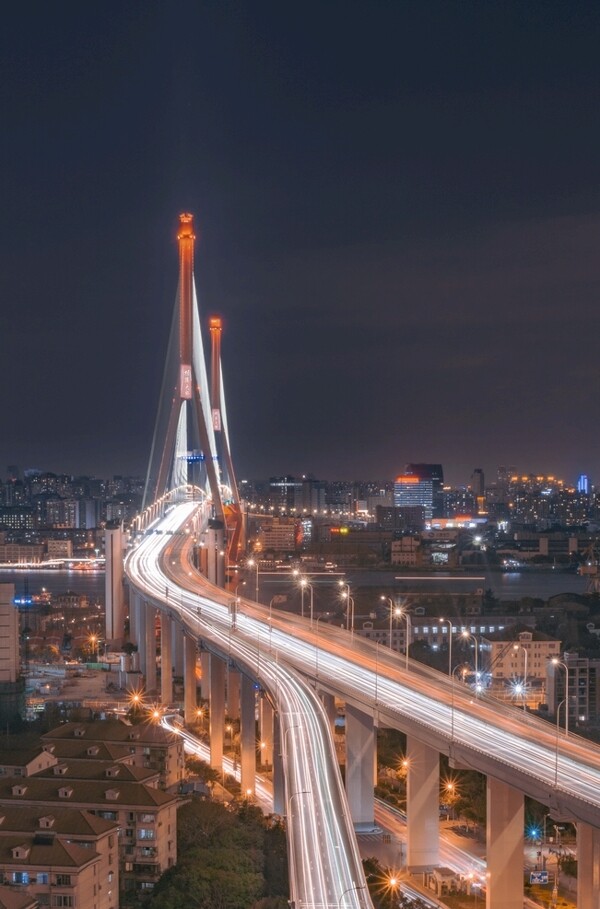 杨浦大桥夜景