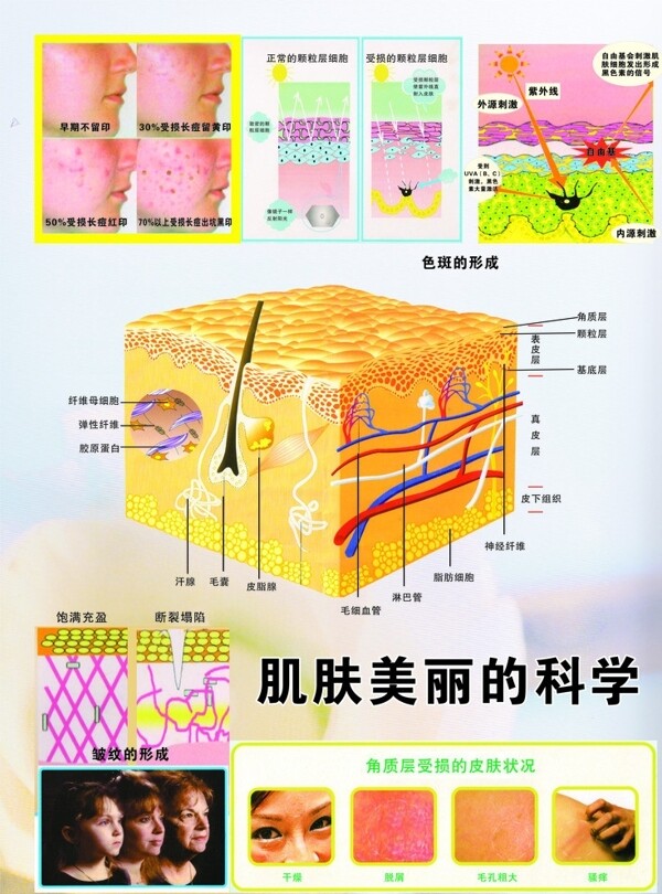 肌肤美丽的科学图片