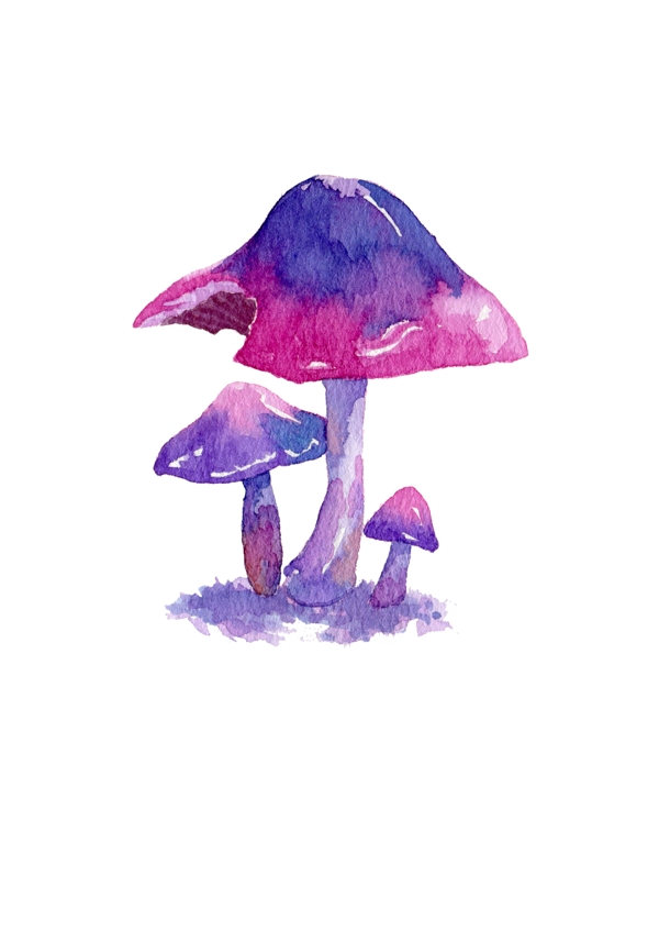 蘑菇食物卡通手绘插画水彩