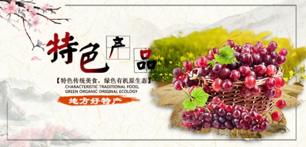 葡萄水果海报banner