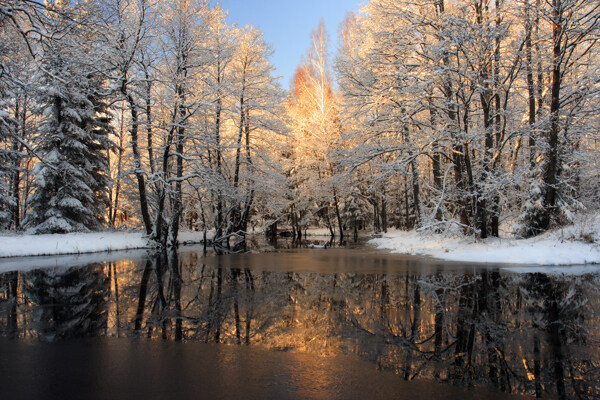 冬天的树林湖泊