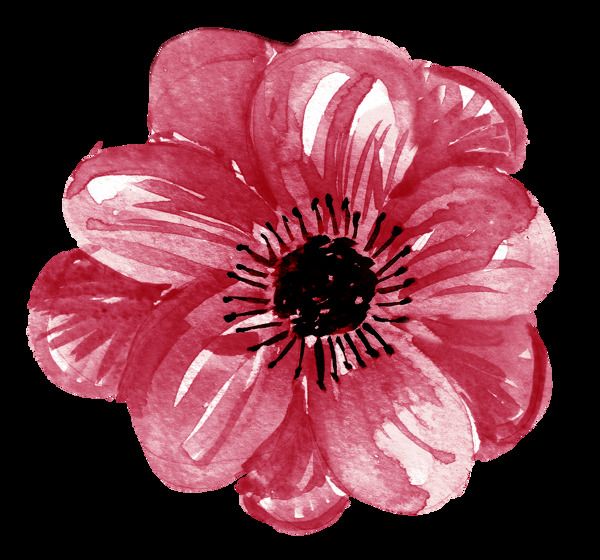 红色花朵花卉免抠图元素