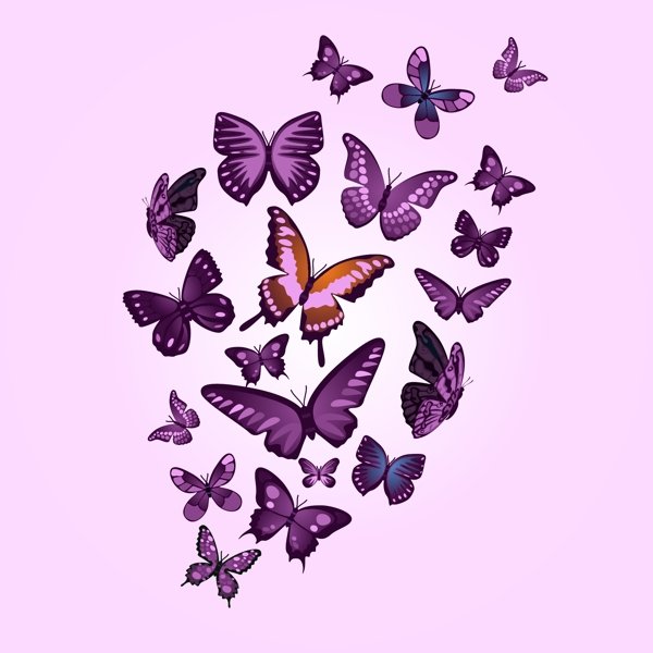 蝴蝶矢量艺术图片