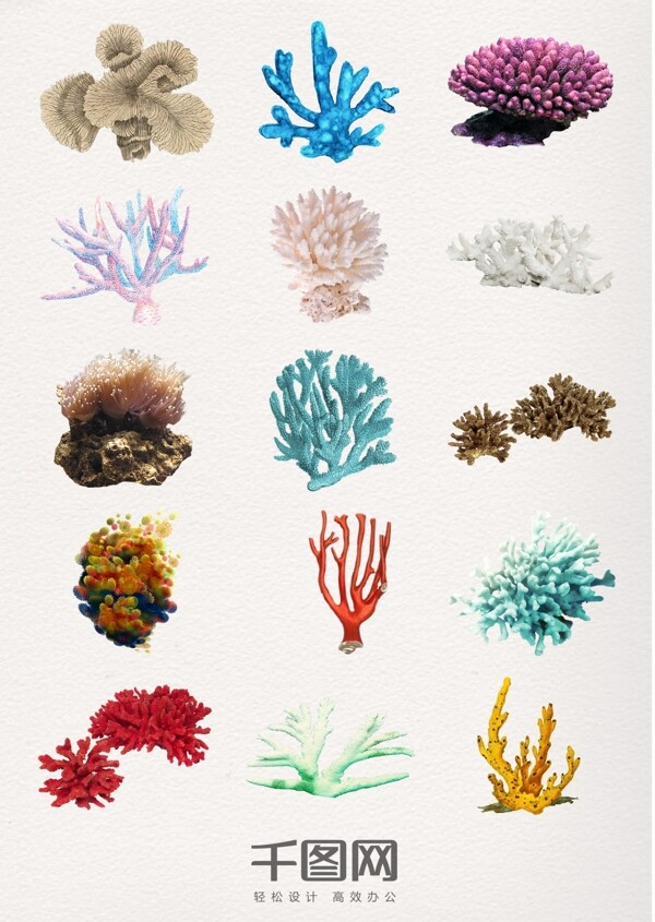 真实的珊瑚元素素材