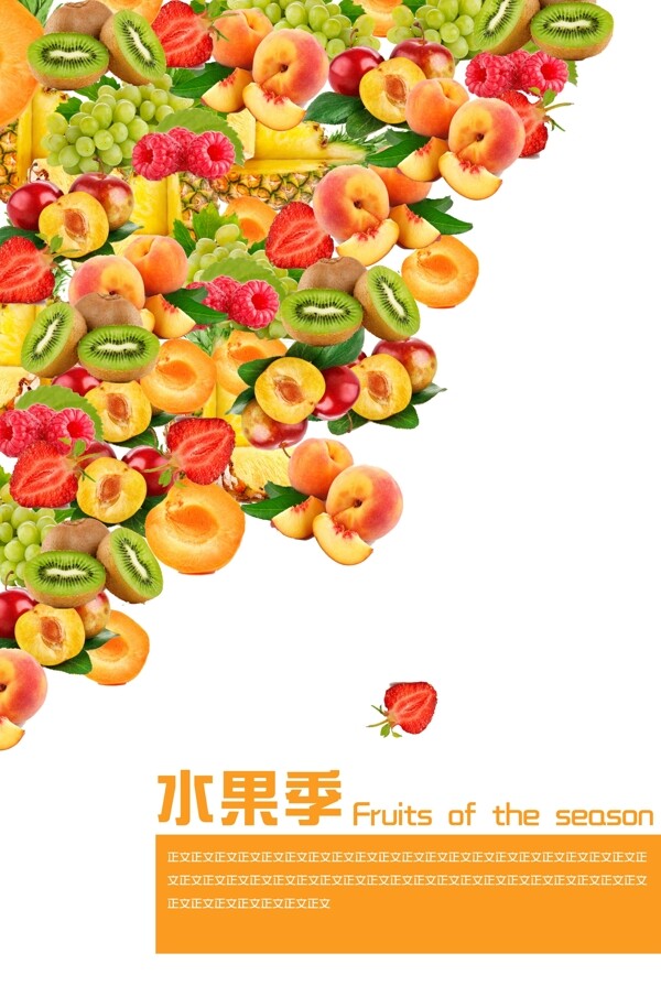 水果季图片
