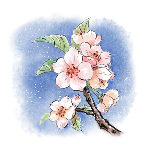 水彩樱花植物花朵小清新春天手绘风桃花水墨