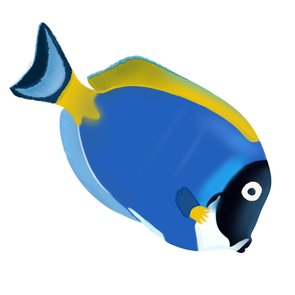 蓝色小鱼海洋生物