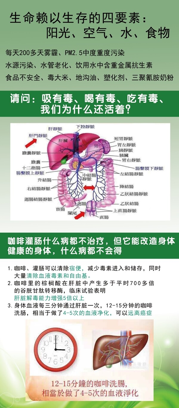 肝门静脉宣传展架