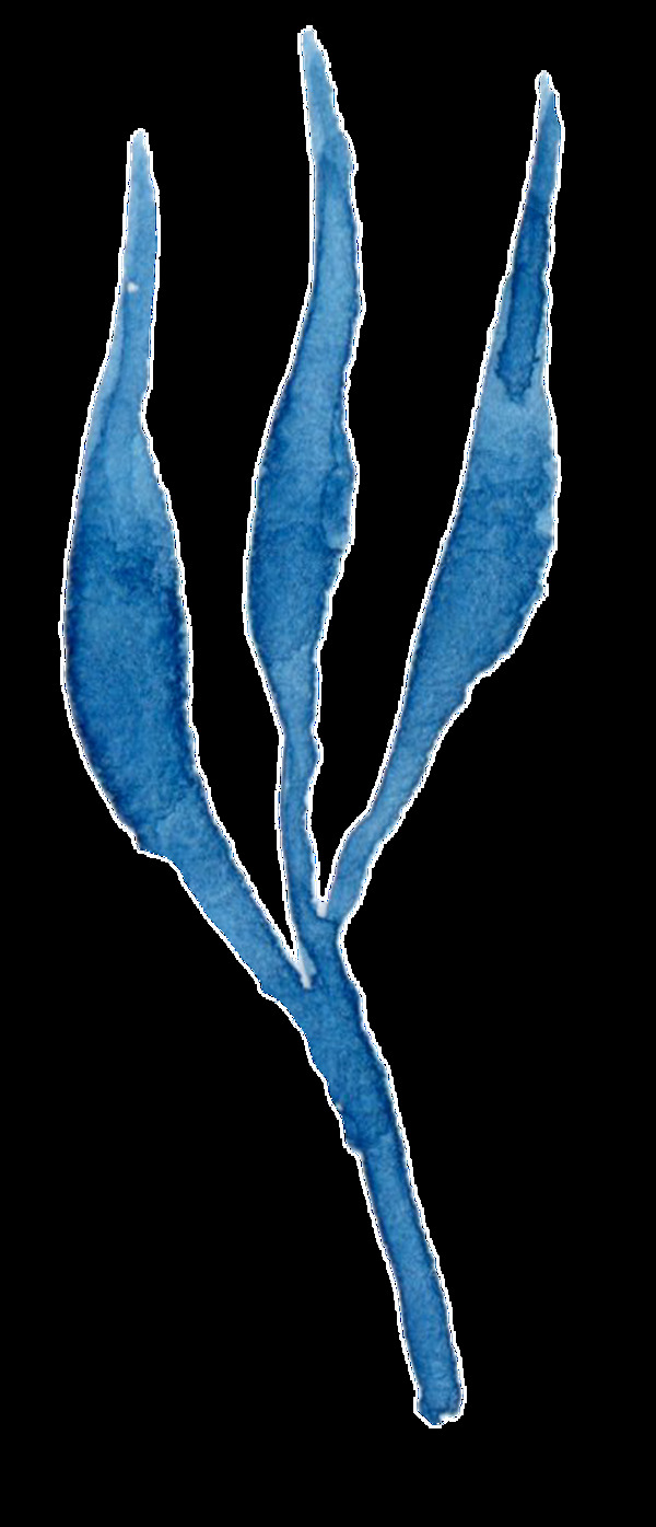 蓝色分叉树叶卡通水彩透明素材