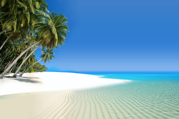 椰树沙滩风景图片