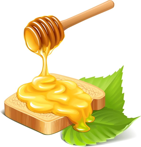 蜂蜜面包向量