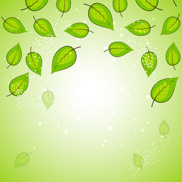 自然背景新鲜绿叶和空间为您的信息