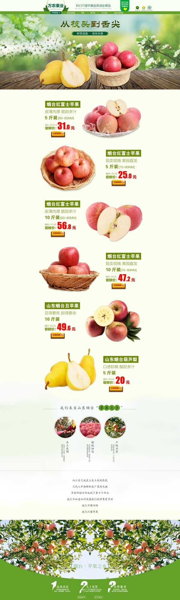 水果首页设计苹果新鲜直达从枝头到舌尖