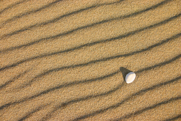沙滩上的小石子图片