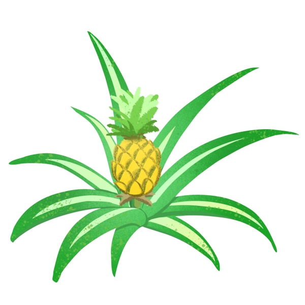 卡通绿色菠萝