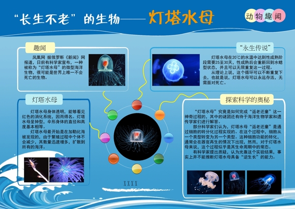 动物趣闻灯塔学生海报设计ai源文件下载