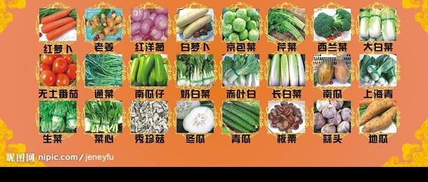 青菜系列图片