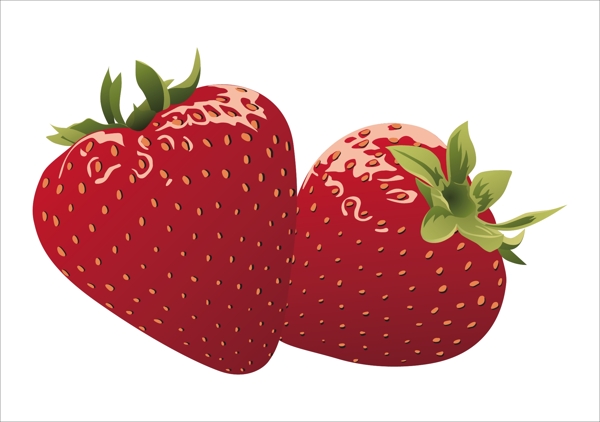 矢量素材新鲜的水果草莓