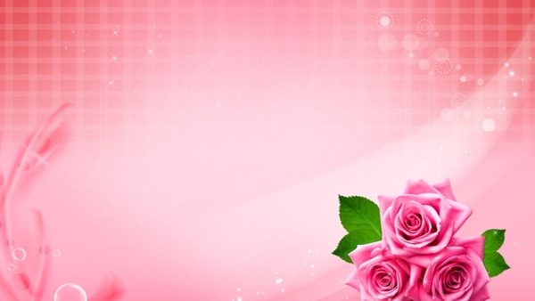 粉色玫瑰花海报背景图片